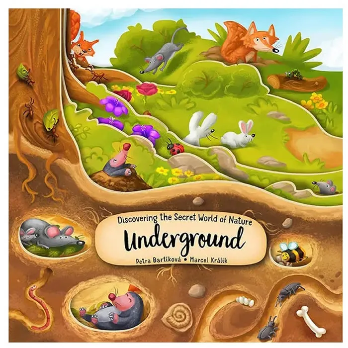 Discovering the Secret World of Nature Underground Board Book