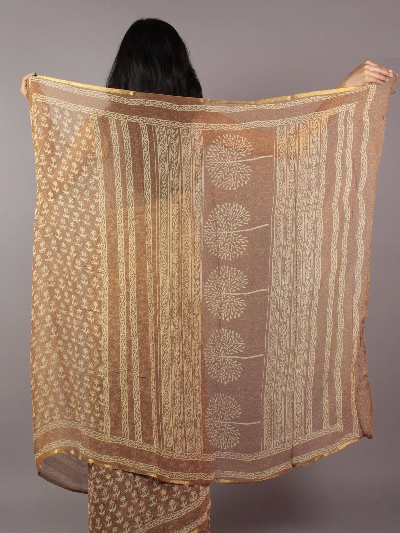 Mud Brown Beige Hand Block Printed Chiffon Saree - S031701848