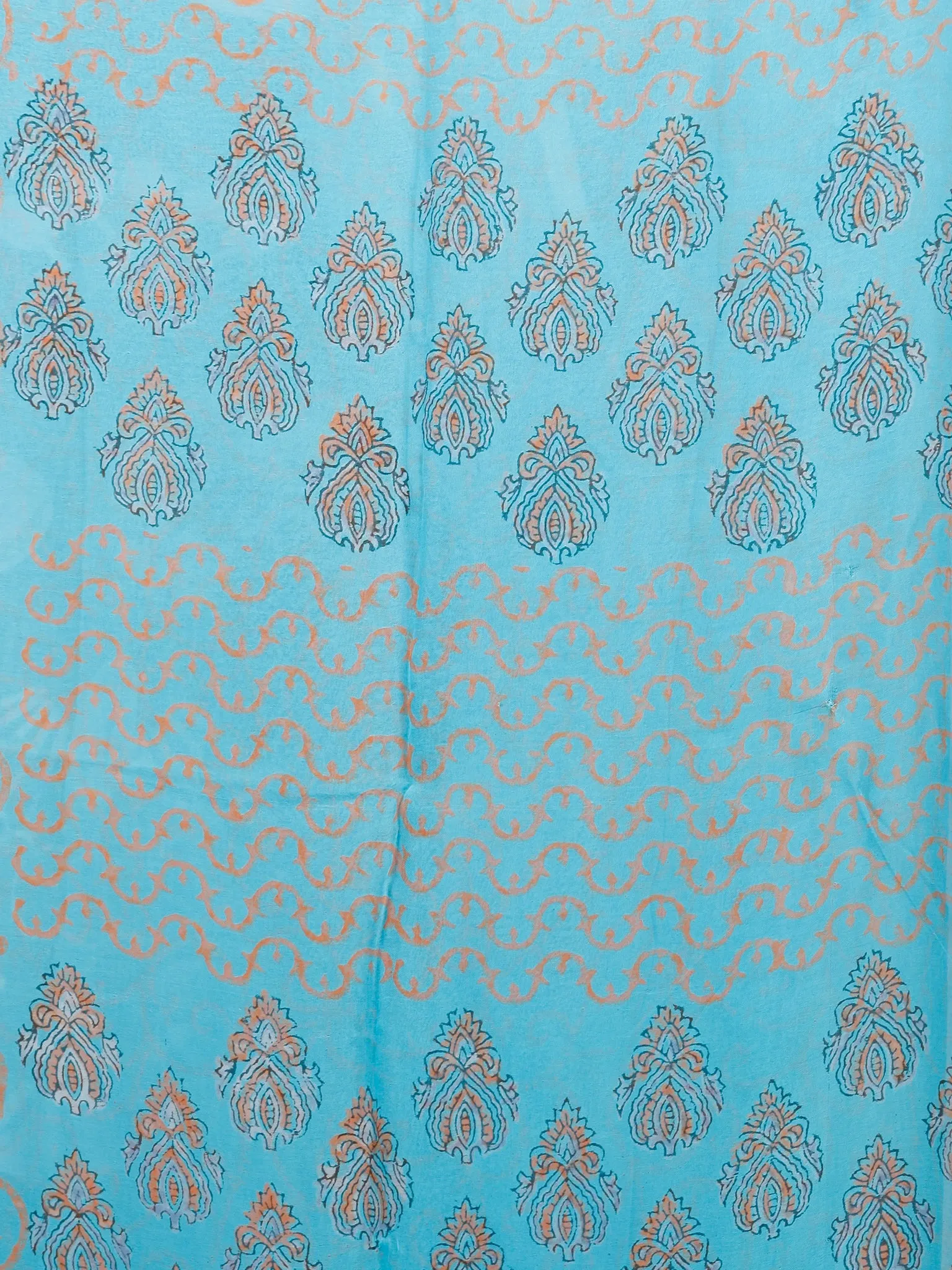 Sky Blue Coral  Hand Block Printed Chiffon Saree with Zari Border - S031703431