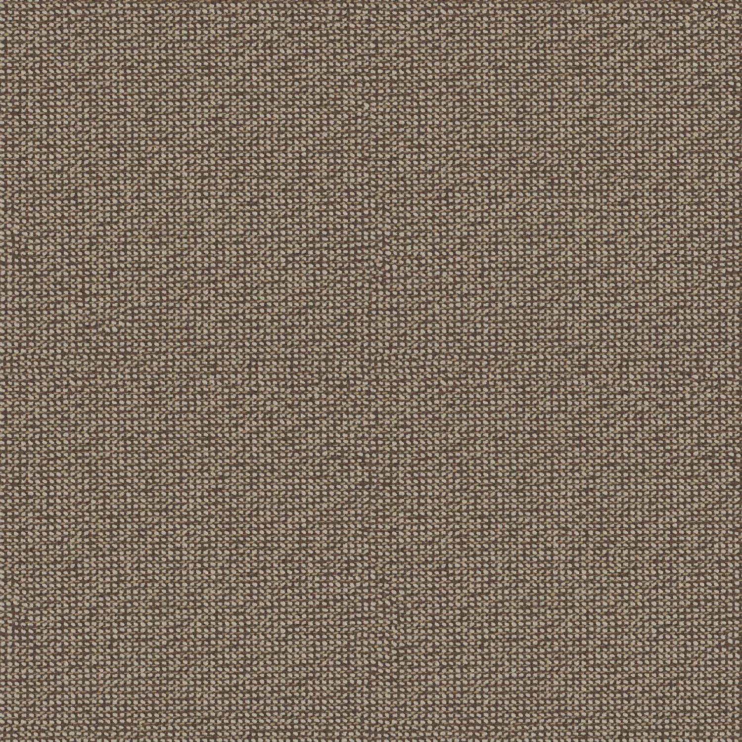 Twisted Tweed - Thatch - 4096 - 07 - Half Yard